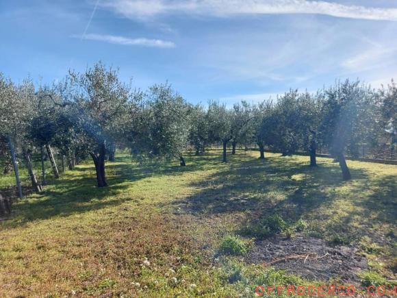 Casa indipendente 5 Locali o più 210mq 1960