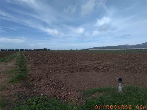 Terreno Agricolo 126900mq