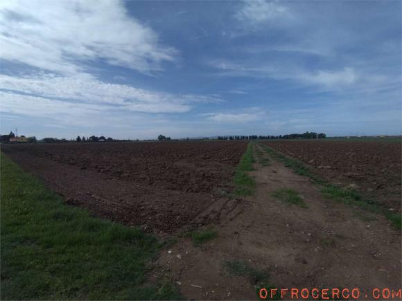 Terreno Agricolo 126900mq