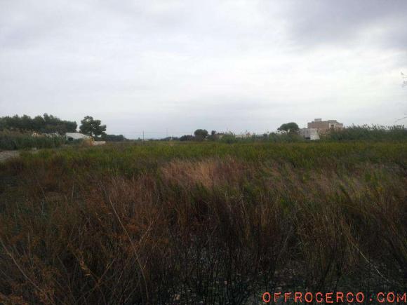 Terreno Agricolo (Zona mare lato Trapani) 4190mq