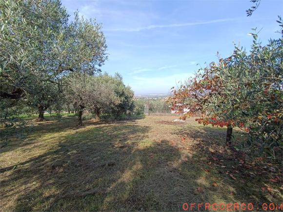 Terreno Agricolo (Casilina/ Prenestina/ Centocelle/ Alessandrino) 1100mq