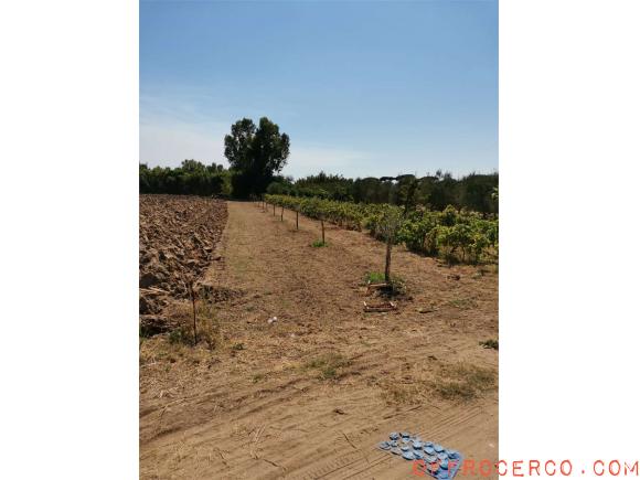 Terreno Agricolo 3450mq