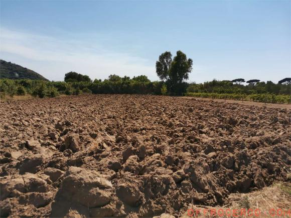 Terreno Agricolo 3450mq