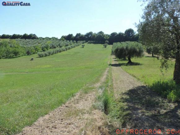 Terreno Agricolo 15000mq