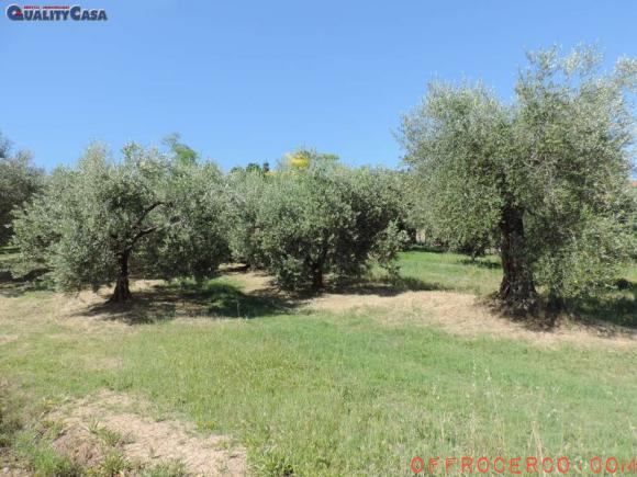 Terreno Agricolo 15000mq