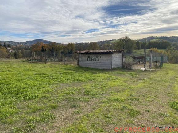 Terreno Agricolo (Traversetolo) 14080mq