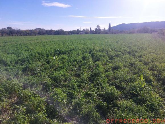 Terreno Agricolo 10000mq