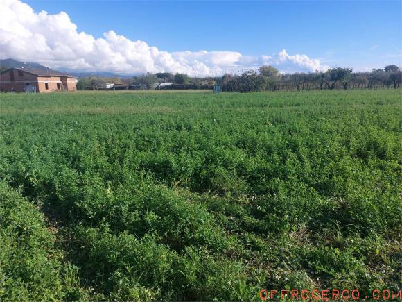 Terreno Agricolo 10000mq