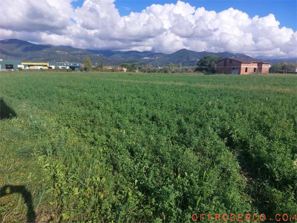 Terreno Agricolo 10000mq