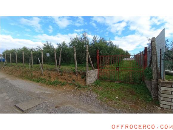 Terreno Agricolo (Casilina/ Prenestina/ Centocelle/ Alessandrino) 800mq