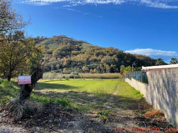 Terreno Agricolo (Piedimonte) 4700mq