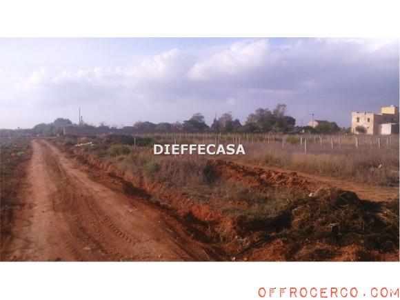 Terreno Agricolo (Periferia lato Mazara del Vallo) 10000mq