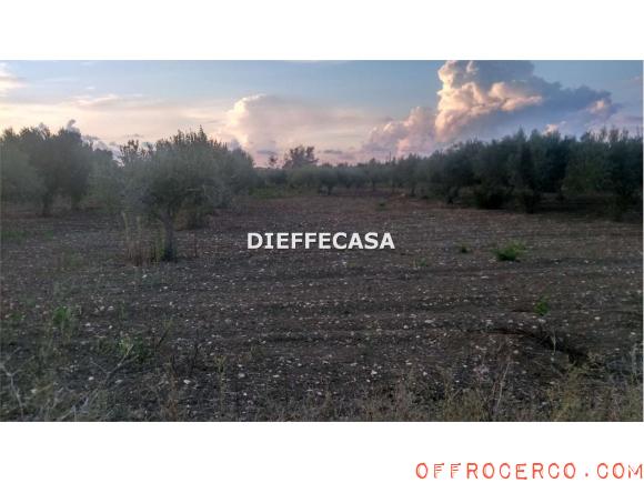 Terreno Agricolo (Periferia lato Trapani) 3440mq