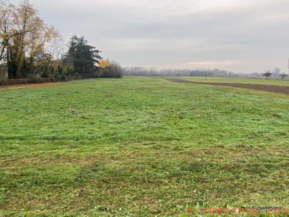 Terreno Agricolo (Basilicanova) 45000mq