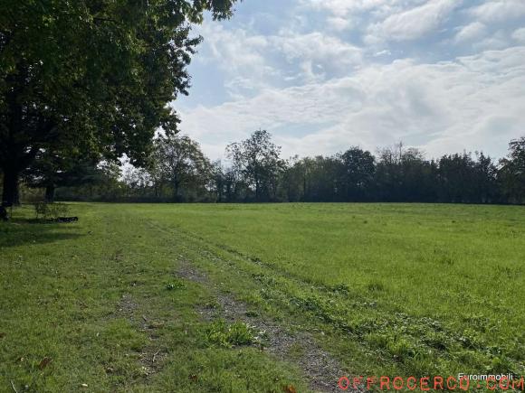 Terreno Agricolo (Basilicanova) 45000mq