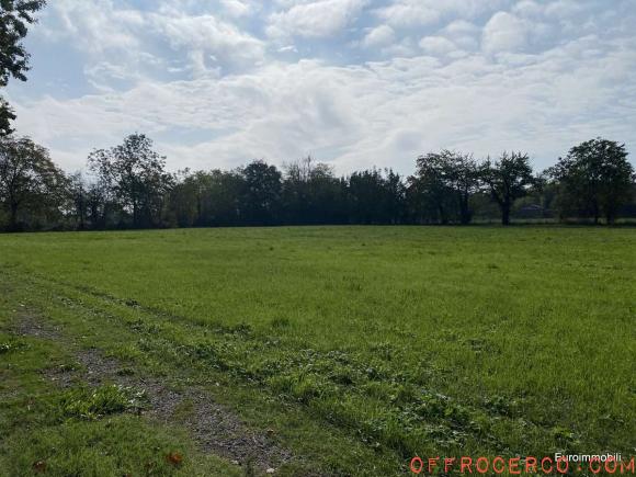 Terreno Agricolo (Basilicanova) 45000mq