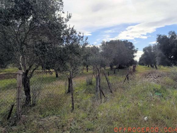 Terreno Agricolo 1000mq