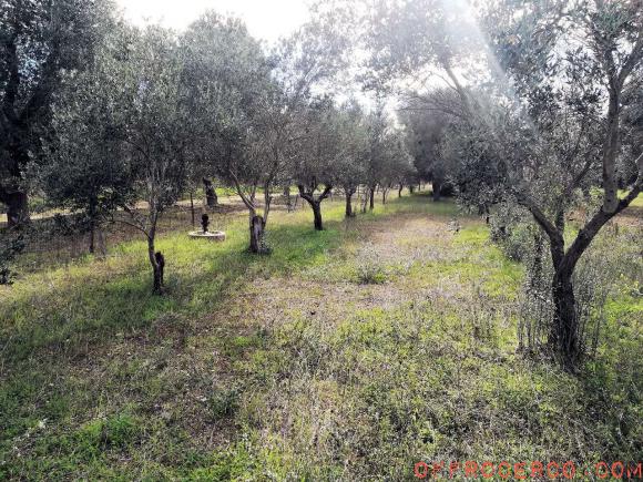 Terreno Agricolo 1000mq