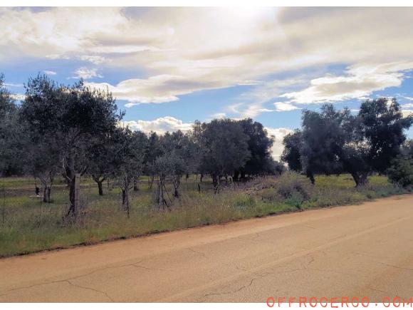 Terreno Agricolo 1000mq