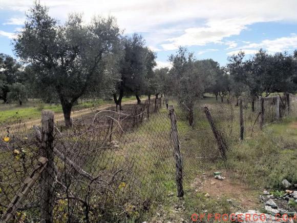 Terreno Agricolo 1000mq