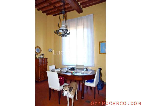 Appartamento 5 Locali o più Monte San Quirico 313mq