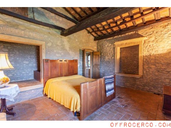 Villa 5 Locali o più 570mq