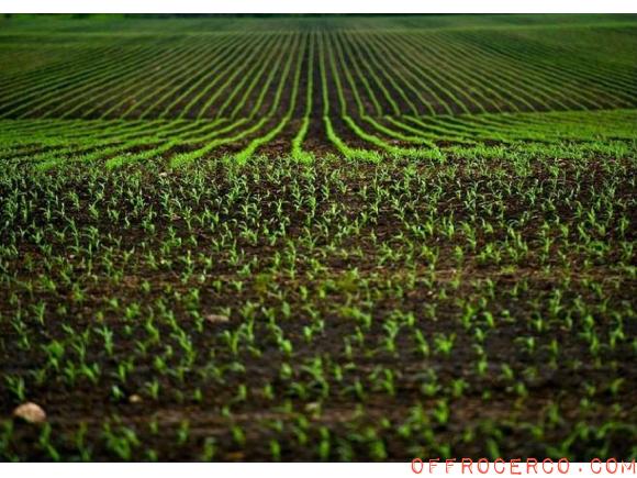 Terreno Agricolo 194517mq