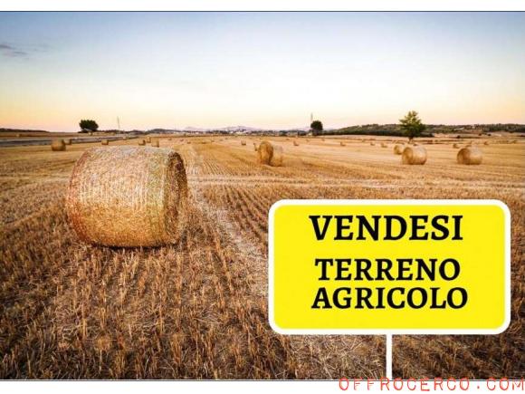 Terreno Agricolo 194517mq