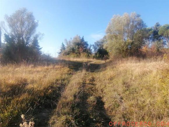 Terreno Edificabile (Montelaguardia) 6400mq