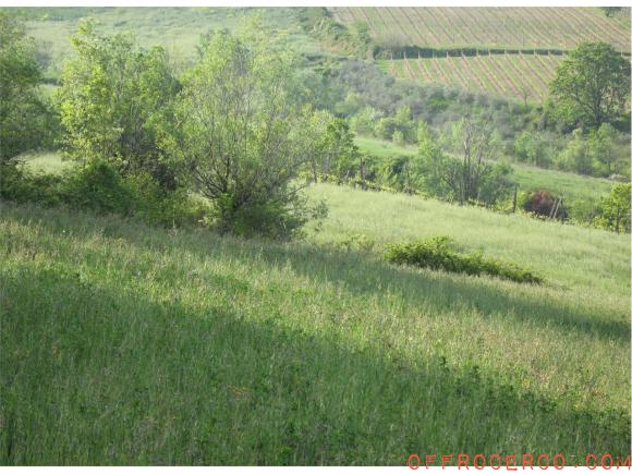 Terreno Agricolo 820000mq