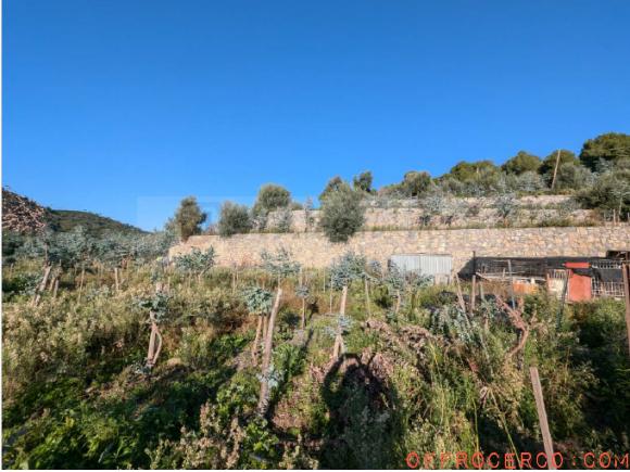 Terreno Agricolo 16390mq