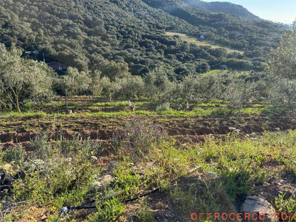 Terreno Agricolo 15799mq