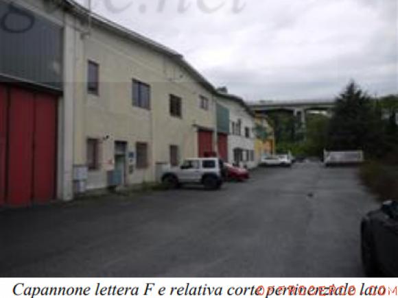 Capannone 809,55mq