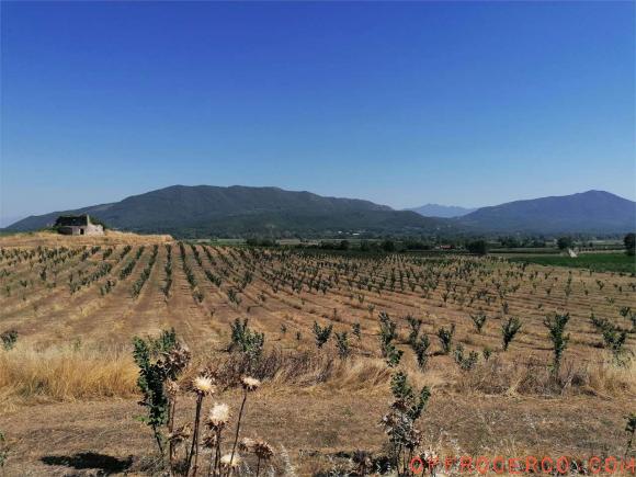 Terreno Agricolo 360000mq