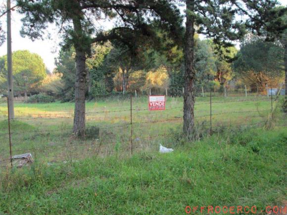 Terreno Agricolo (Baia Domizia) 3500mq