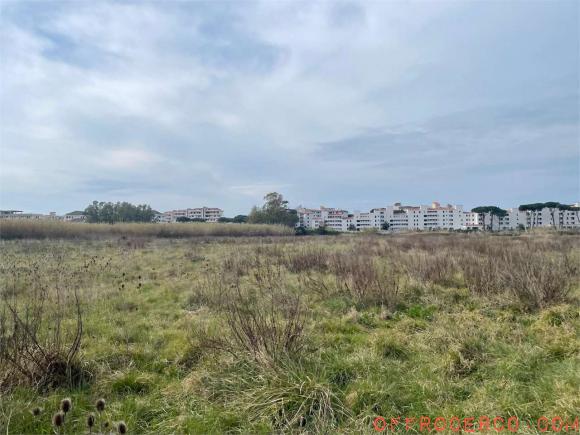 Terreno Agricolo (Baia Domizia) 10000mq