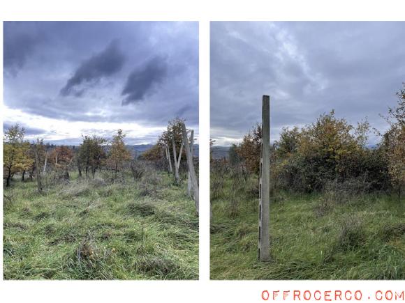 Terreno Agricolo 6010mq