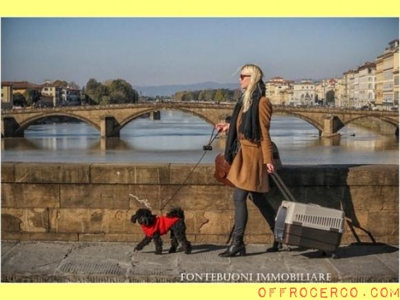 COMMERCIALE PIAZZA PITTI-PONTE VECCHIO-COSTA SAN GIORGIO 280mq