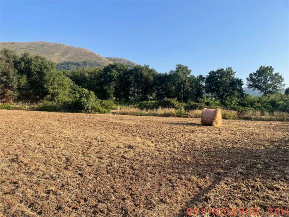 Terreno Agricolo (Piedimonte) 6200mq