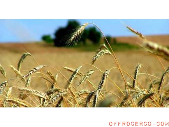 Terreno Agricolo 15000mq