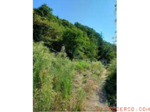 Appartamento bilocale (Dercogna) 67mq