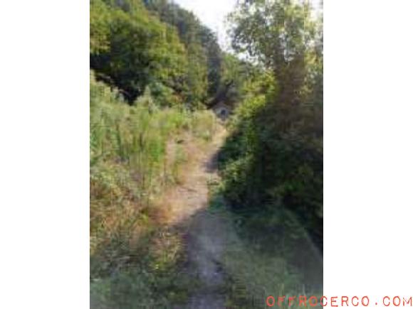 Appartamento bilocale (Dercogna) 67mq