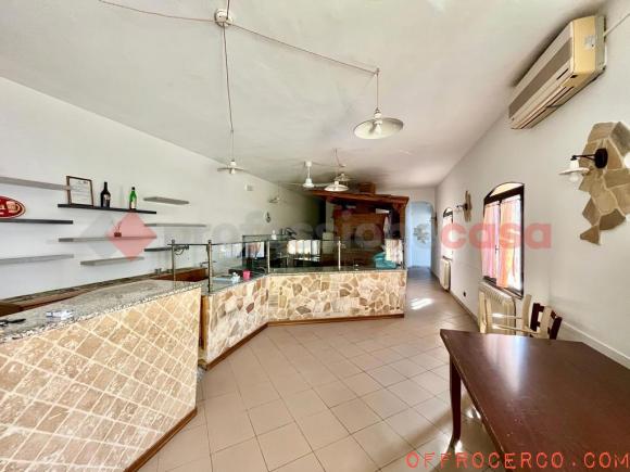 Attività commerciale Ristorante e pizzeria 110mq